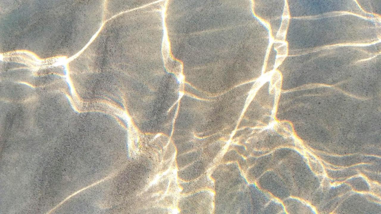 B&B Il Gatto Pescatore Stintino Dış mekan fotoğraf