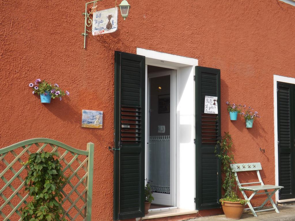 B&B Il Gatto Pescatore Stintino Dış mekan fotoğraf